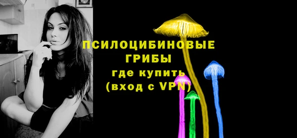 apvp Воткинск