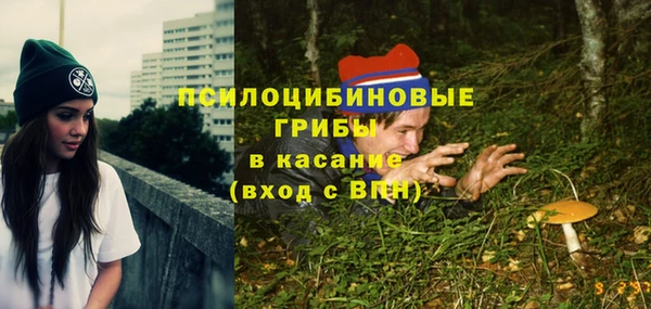 ешки Осташков
