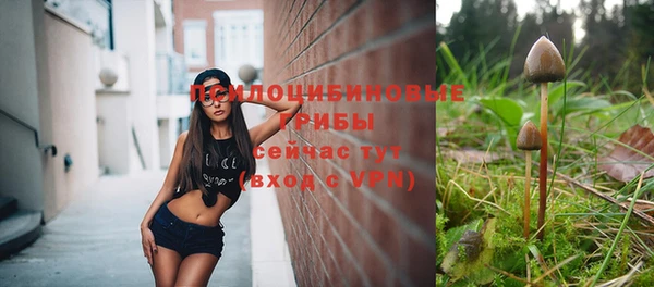 ешки Осташков