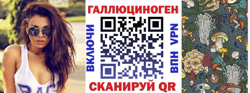 Псилоцибиновые грибы Psilocybe  Щёкино 